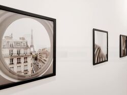 The Champagne (D14), Apartment #466933161